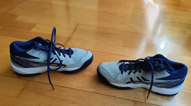 Zapatillas Asics Mujer Azul y Gris