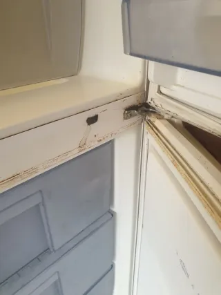 Nevera Bluesky No Frost 180cm