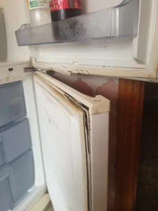 Nevera Bluesky No Frost 180cm