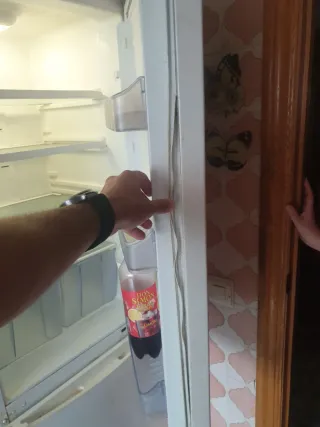 Nevera Bluesky No Frost 180cm