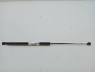 AMORTIGUADORES CAPO DACIA SANDERO (2)