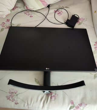 Monitor LG 24 Negro