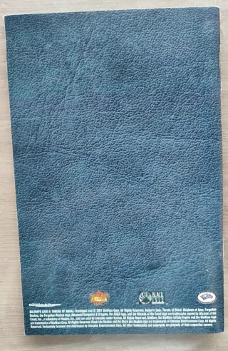 Manual Baldur's Gate II: Throne of Bhaal