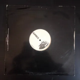 TECHNO 1992 The Average Band - Shame Vinilo Italia