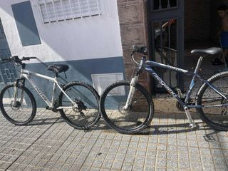 Bicicleta Megamo Natural