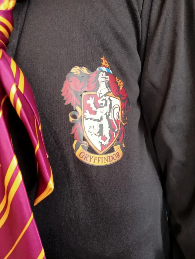 Disfraz Harry Potter Gryffindor 7-10 años