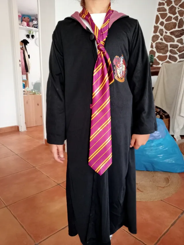 Disfraz Harry Potter Gryffindor 7-10 años