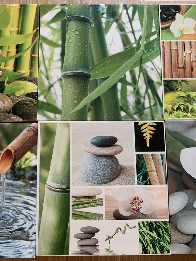 Set 6 Stampe Zen Bambù Pietre Orchidea Buddha