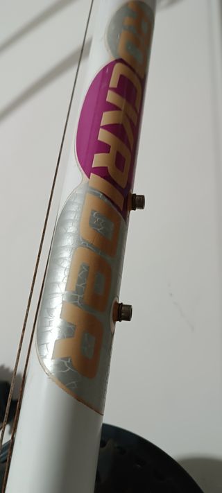 Bicicleta de montaña blanca