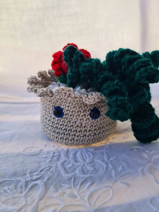 Cactus uncinetto decorativo