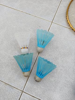 2 Raquetas de Bádminton Winn y plumas