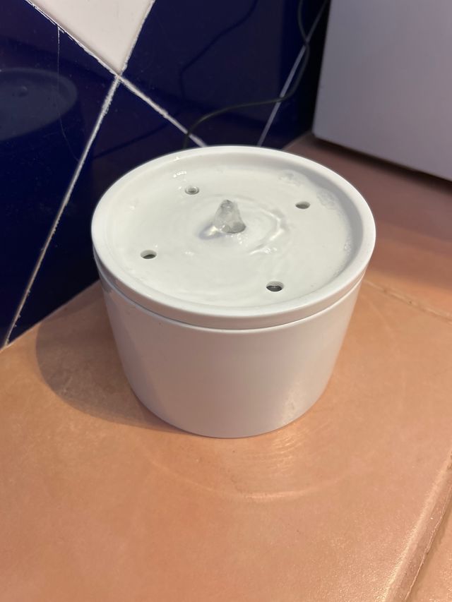 Fuente de agua para gatos