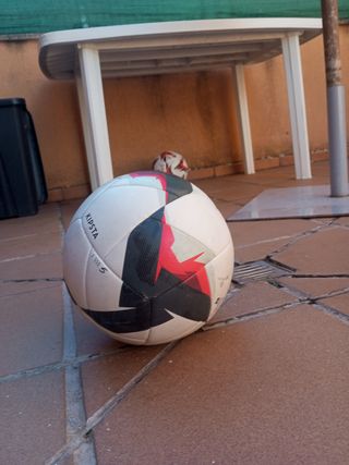 3 Balones de Fútbol 

