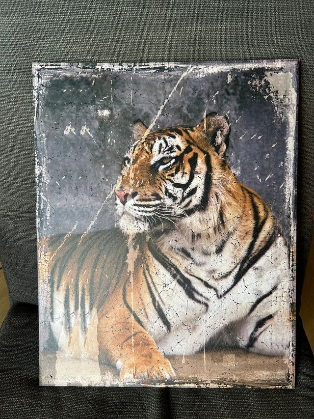 Cuadro de tela de tigre