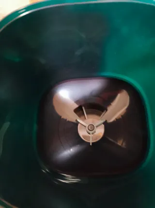 Comedero automático para gatos Cecotec