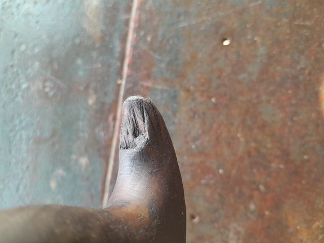 Serrucho carpintero fino madera
