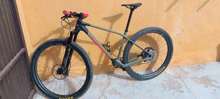 Mountain bike in carbonio