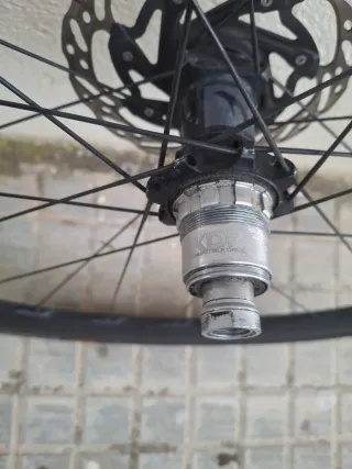 Ruote Fulcrum 400
Solo pneumatici