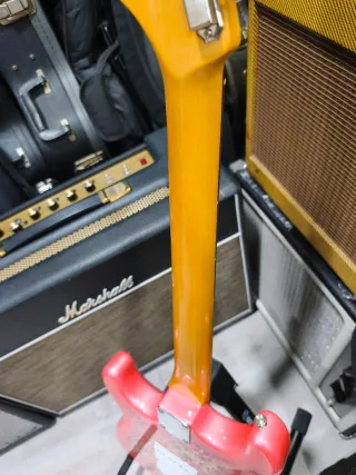 Fender Stratocaster Diseño Paisley