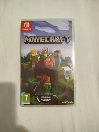 Minecraft Nintendo Switch