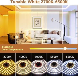 Striscia LED 30m Tunable White 2700K-6500K HB020