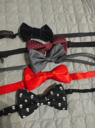 Cravatte e papillon bambino