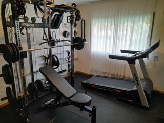GIMNASIO PROFESIONAL + CINTA DE CORRER BH 1499€!!!