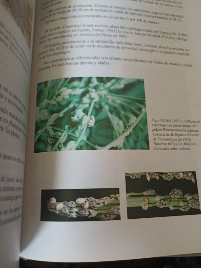 Plagas Del Campo 12a.ed.