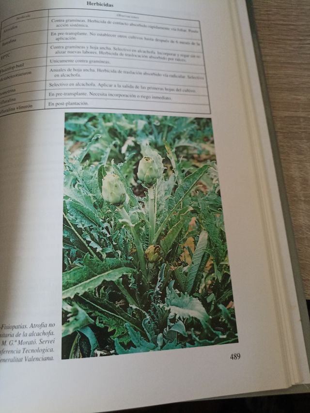 Plagas Del Campo 12a.ed.