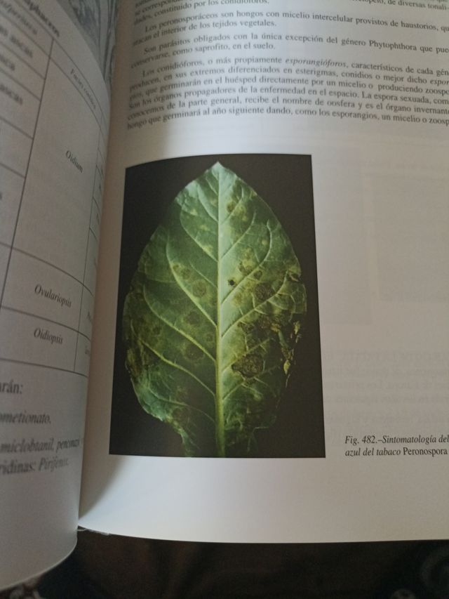 Plagas Del Campo 12a.ed.