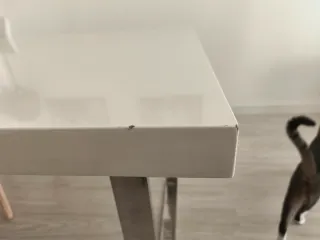 Mesa extensible salón blanca