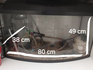 4 peceras