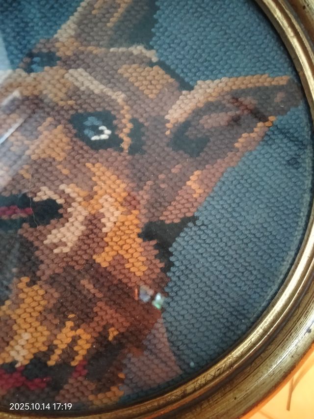 Quadretto cane pastore tedesco