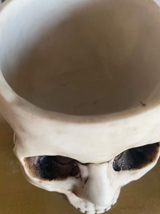 Ciotola teschio gotica