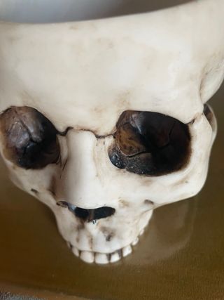 Ciotola teschio gotica