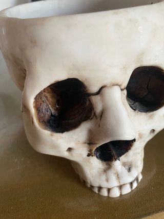 Ciotola teschio gotica