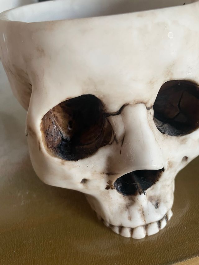 Ciotola teschio gotica