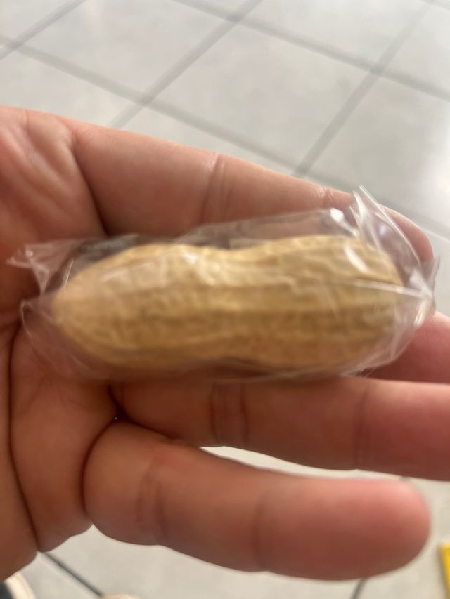 Gomme scancellabili Legami