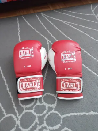 Guantes de Boxeo Charlie Made in Hell