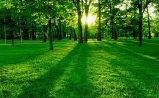 Terreno en venta en Taradell