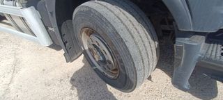 FRIGORIFICO IVECO 260S36 2019