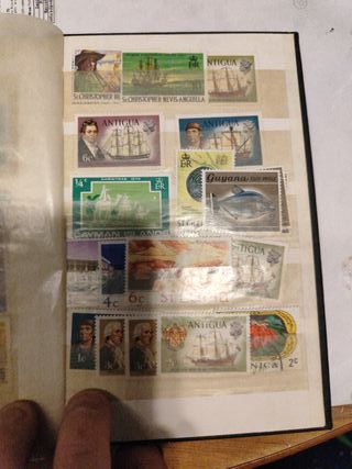 Raccolta francobolli