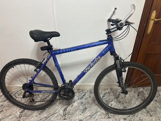 Bicicleta Spiuk Tattoo T22 Aluminio