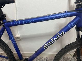 Bicicleta Spiuk Tattoo T22 Aluminio