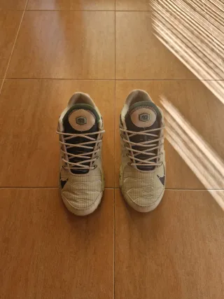 Nike Air Max TN Beige/Verde