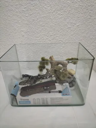 Acuario con decoración 