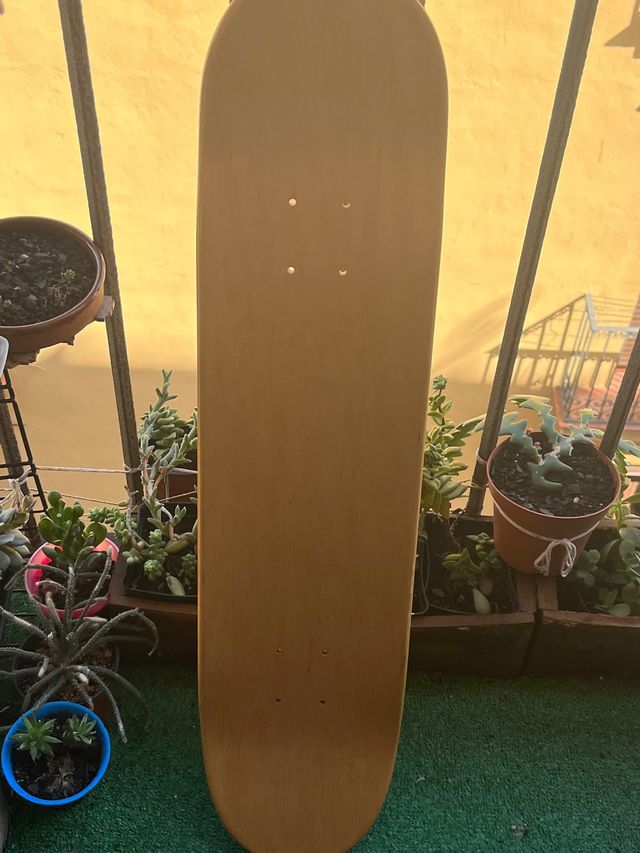 Zoo York Danny Supa Deck Coleccionista