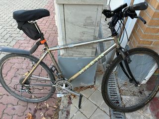 Bicicleta Montaña Marin Team Issue