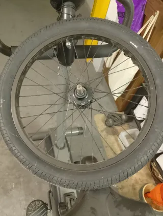 Ruota Posteriore BMX completa