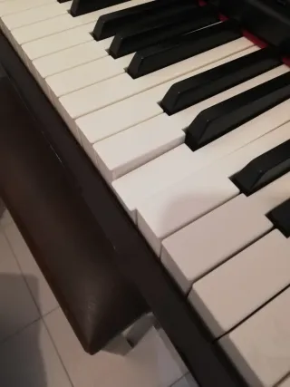 Piano Eléctrico Casio Celviano AP-22S